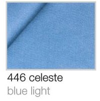 446 Celeste