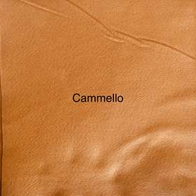 Cammello