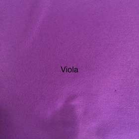 Viola